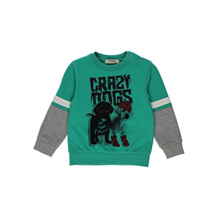 Panço Erkek Bebek Blok Renk Şeritli Baskı Detaylı Sweatshirt
