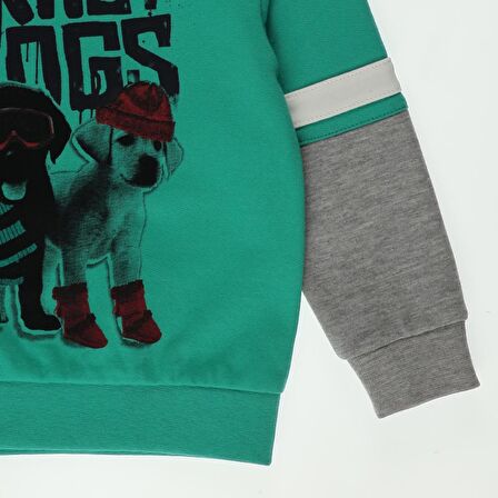 Panço Erkek Bebek Blok Renk Şeritli Baskı Detaylı Sweatshirt