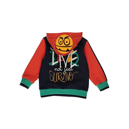 Panço Erkek Bebek Baskı Detaylı Kapüşonlu Sweatshirt