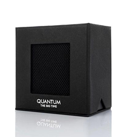 Quantum PWG1095.375 Erkek Kol Saati