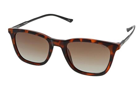 Lee Cooper LC1583.C3 52 Polarize Unisex Güneş Gözlüğü