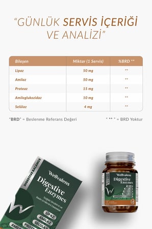 Wellvalens Sindirim Enzimleri Vitamin Mineral 30 Tablet