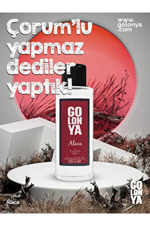 Alaca - 250 ml Cam Şişe