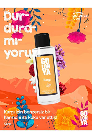 Kargı - 250 ml Cam Şişe