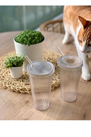 Pipetli Kristal Kahve Bardağı Mika Cam Pipetli Bardak (1 ADET) (600ML)