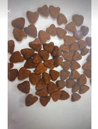 how&meow HOW&MEOW YETİŞKİN KEDİ MAMASI STERILISED SOMONLU 15KG