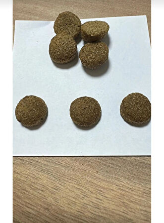 PetEko YETİŞKİN KUZULU KÖPEK MAMASI 15 kg