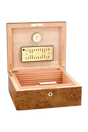 Adorini Elm Burl Grande Sedir Humidor Puro Kutusu