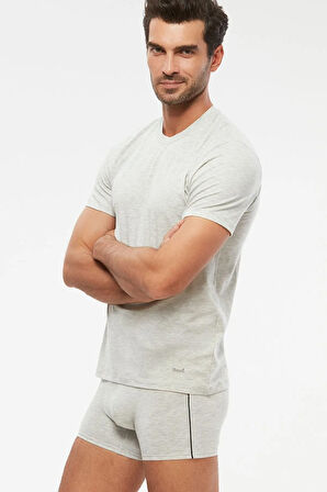 James Bisiklet Yaka Basic Erkek Tshirt Gri