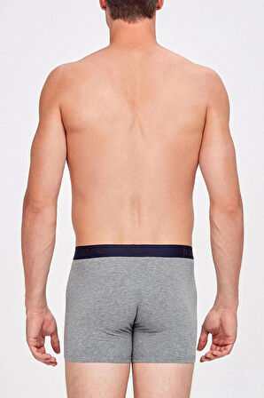 Kısa Paça Koton Modal Erkek Külot Levi 2li Boxer