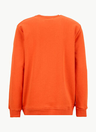 The Crow Bisiklet Yaka Turuncu Erkek Sweatshırt TC1950_COLOURFUL