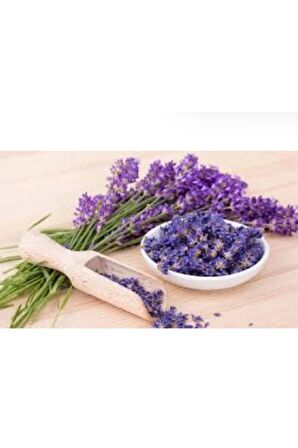 Ala Lavandula El Kremi 125 ml