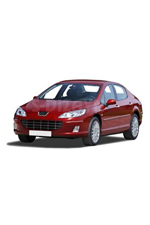 Peugeot 407 Krom Kapı Kolu 4 Kapı 2004-2010