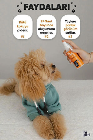 HiPet Fruit Base Köpek Parfüm