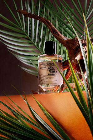 LACTONE 100ML Parfüm Jaguar
