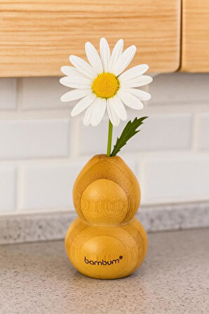 Bambum Dublin - Bambu Vazo 7,2*4,9cm