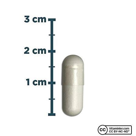 Zinc 15 Mg 200 Kapsül - AROMASIZ