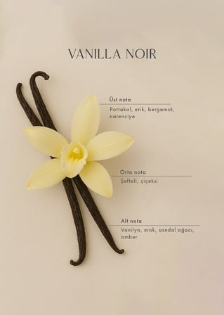 Vanilla Noir Oda Kokusu (250 ml)