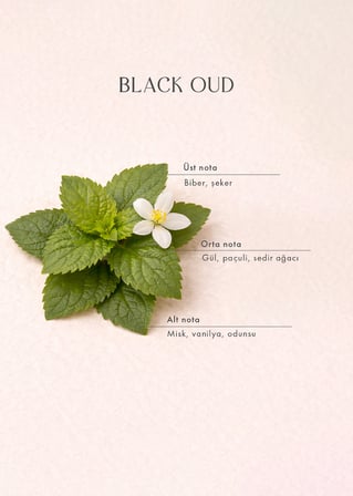 Black Oud Oda Kokusu (250 ml)