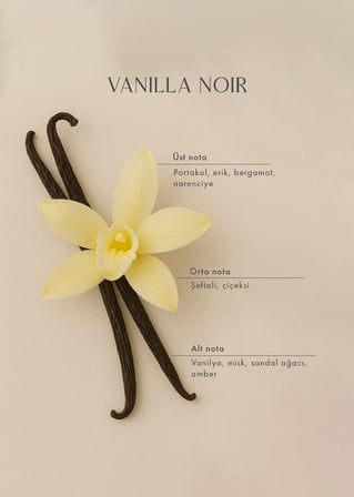 Vanilla Noir Ahşap Fitilli Soy Wax Mum
