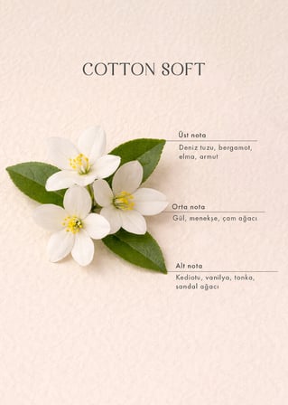 Cotton Kumaş Spreyi (500 ml)