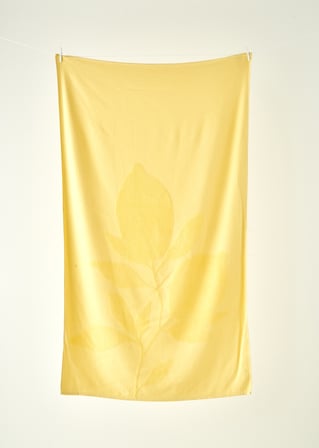%100 Pamuk Lemoncello Plaj Havlusu Sarı (90x150 cm) Sarı