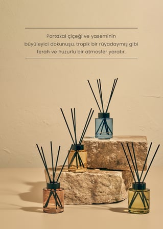 Golden Tropics Oda Kokusu Yeşil (100 ml)