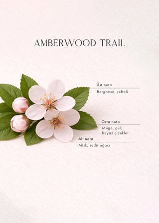 Amberwood Trail Soya Wax Kokulu Mum Sarı (120 gr)