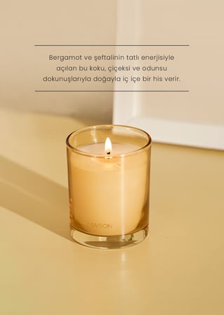 Amberwood Trail Soya Wax Kokulu Mum Sarı (120 gr)