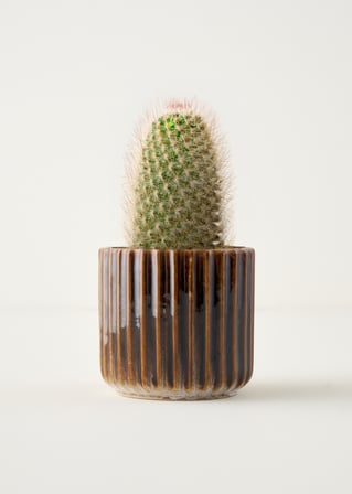 Lavea Seramik Saksı Gri (13x13x12 cm)