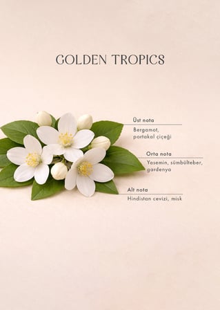 Golden Tropics Oda Spreyi Yeşil (500 ml)