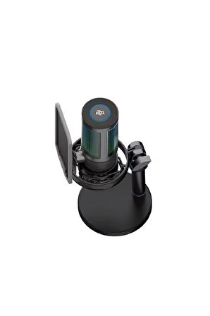 U850 Kayıt Condenser Pop Filtre Kardioid Mikrofon + Tripod