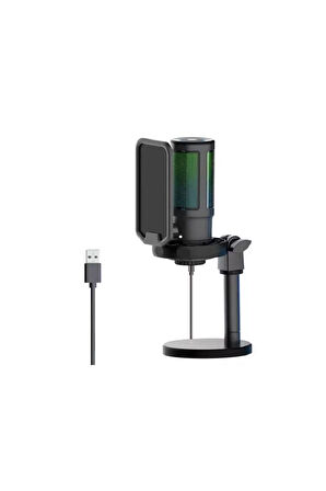 U850 Kayıt Condenser Pop Filtre Kardioid Mikrofon + Tripod