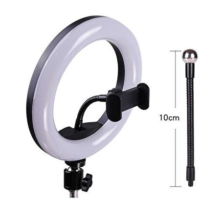 Blic Ring Light Işıklı Telefon Tutucu TikTok Işığı 8 Inc 3 Renkli BLD-25