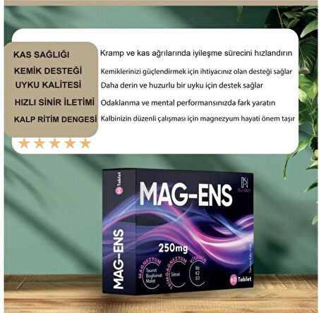 MAG-ENS