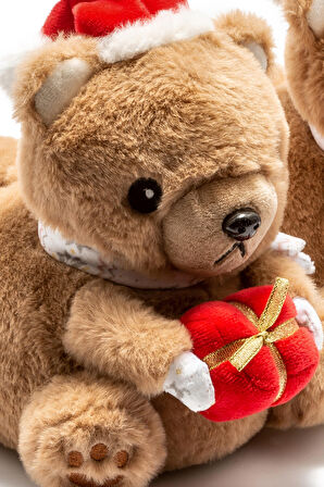 Twigy Regalo Kahve Kadın Panduf Terlik CC0627