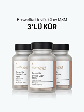 Live Yourself Boswellia Devil's Claw Msm 3 lü Kür
