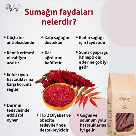 Organik Sumak Ecocert Sertifikalı 200 gr