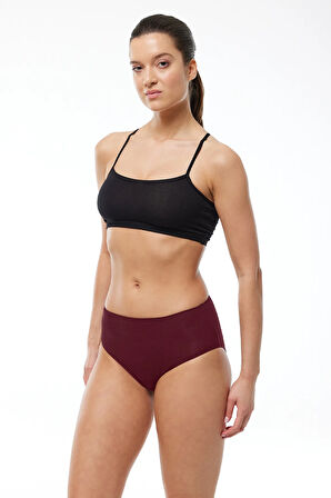 Kadın Bordo 2 Li Paket Modal Yüksek Bel Slip Külot 1955