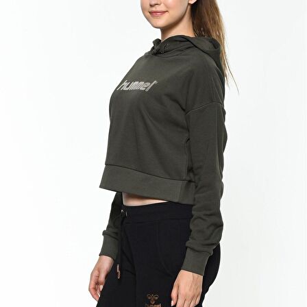 Hummel Rayce Hoodie 920471-6119