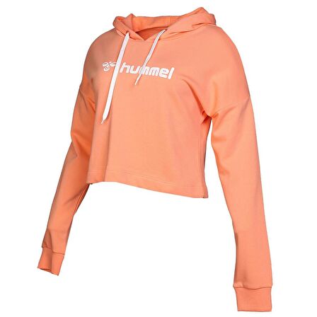 Hummel Gala Hoodie 920849-5017