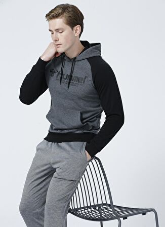 Hummel Regow Hoodie 920894-2800