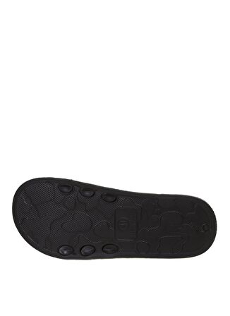 Aeropostale Siyah / Yeşil Erkek Terlik