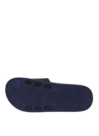 Aeropostale Baskılı Mavi Erkek Terlik