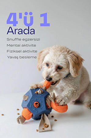 Köpek Aktivite Topu | Mama Saklama ve Çiğneme Oyuncağı