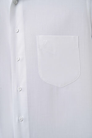 Bisse Regular Fit Açık Gri Klasik Erkek Gömlek GM23K232055_D54