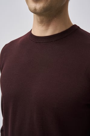 Bisse Bisse Studio Erkek Bisiklet Yaka Triko Bordo BSTR25505_C25