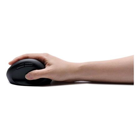 Inca IWM-325 Wireless Mouse