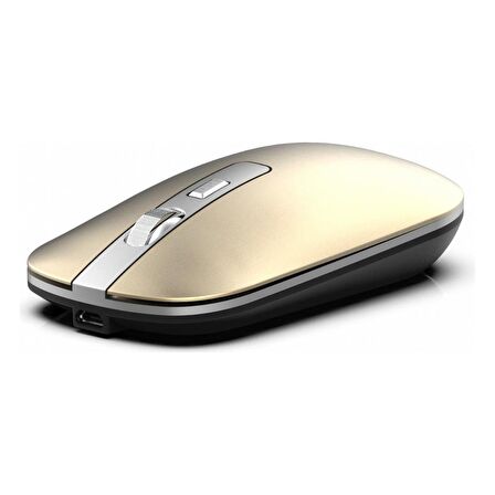 Inca IWM-531RS  Bluetooth & Wireless  Rechargeable  Special Metallic  Silent Mouse