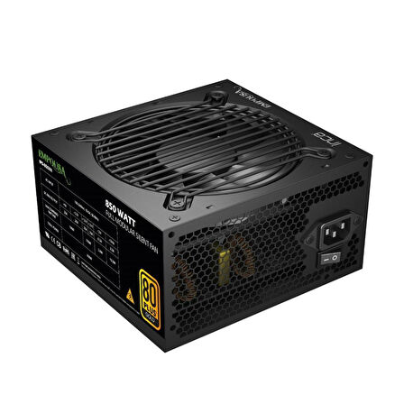 INCA IPS-850XN 850W POWER 80+ GOLD TAM MODULER